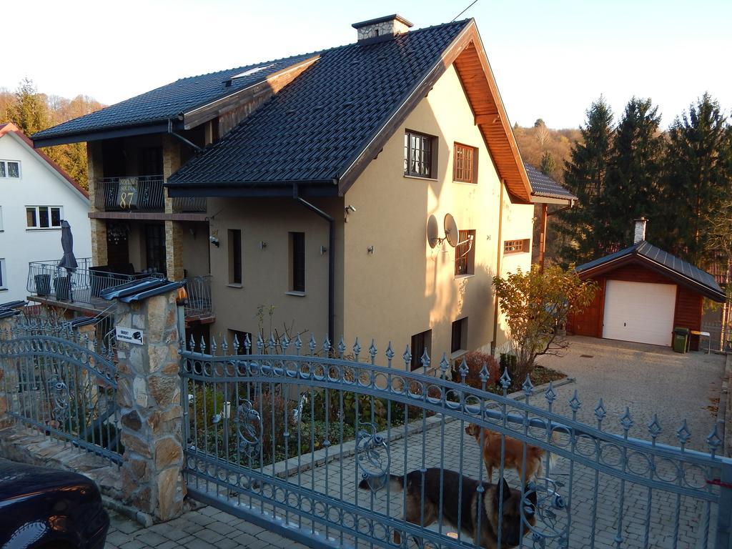 Willa Solina Hotel Solina  Zewnętrze zdjęcie