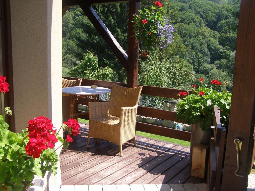 Willa Solina Hotel Solina  Pokój zdjęcie