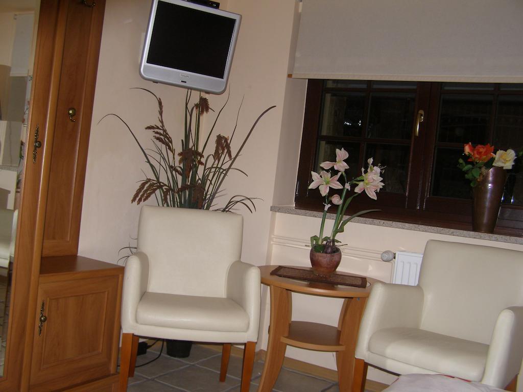 Willa Solina Hotel Solina  Pokój zdjęcie