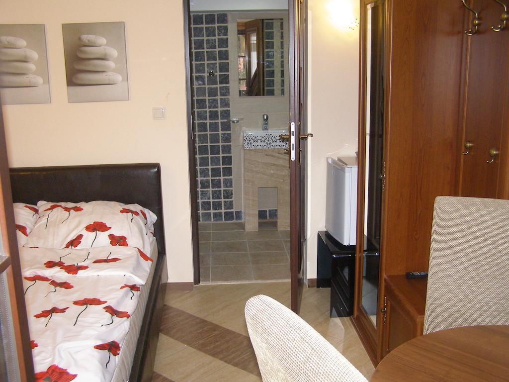 Willa Solina Hotel Solina  Pokój zdjęcie